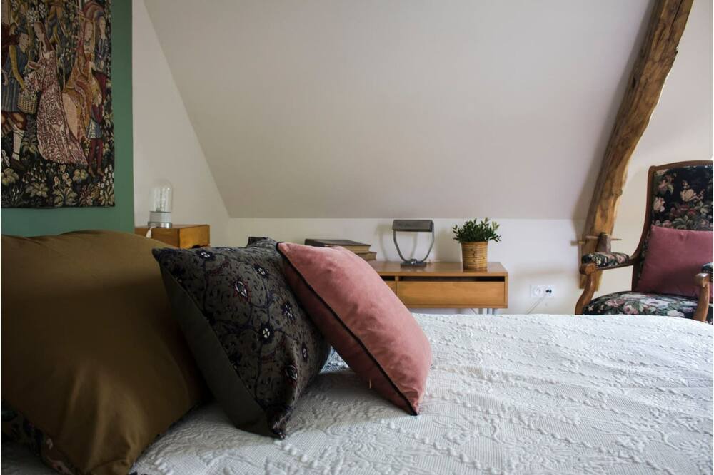 Photo of Bedroom in Noizay
