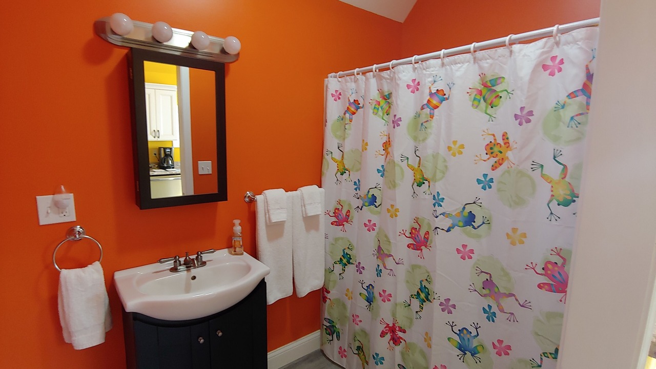 Photo of Bathroom in Owosso
