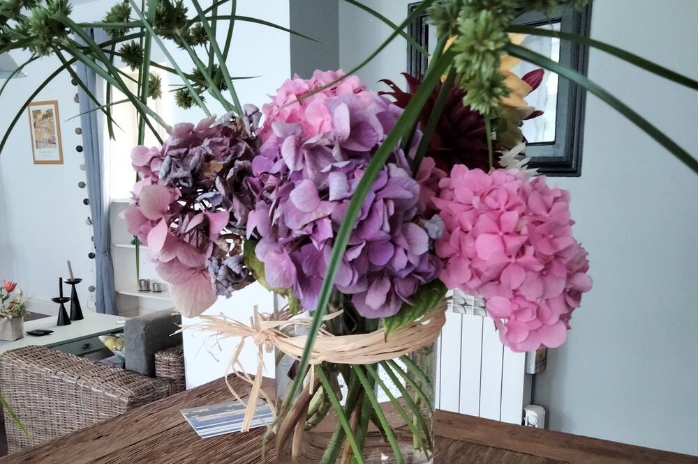 Photo of Others in Chalais