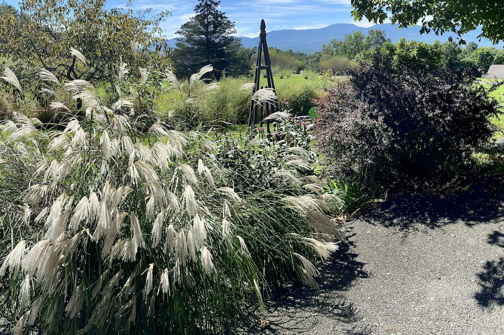 Photo of Outdoor in Freehold