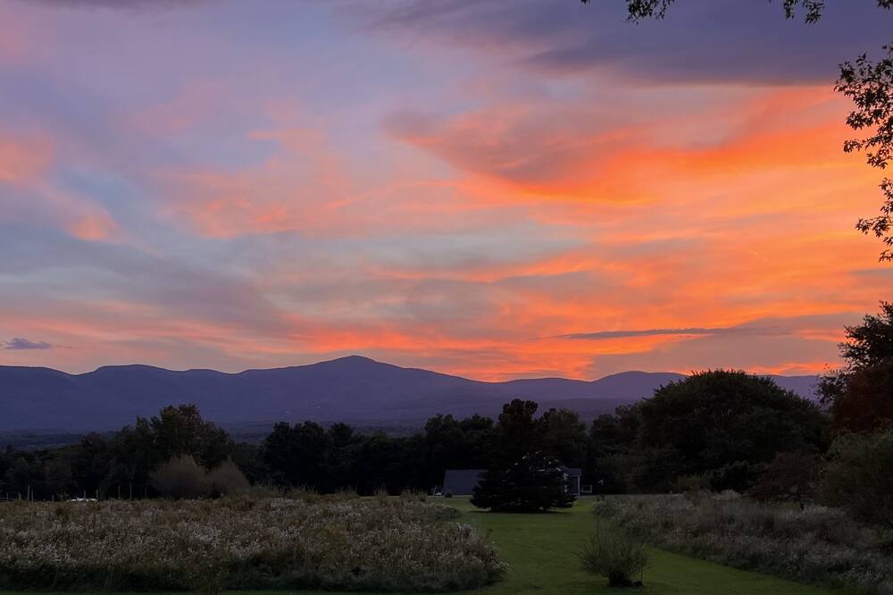 Photo of Others in Freehold