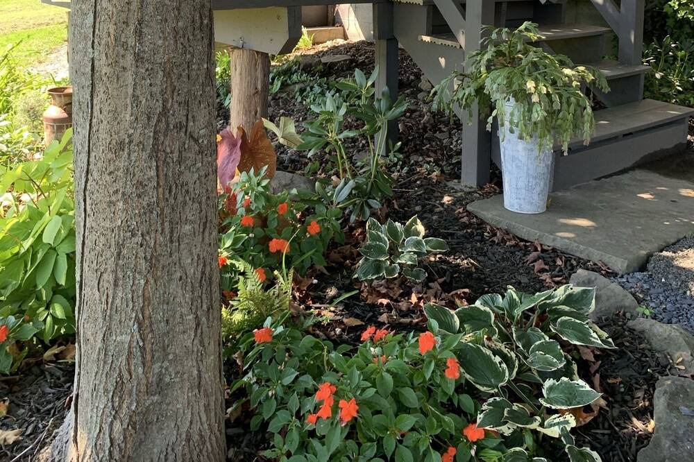 Photo of Outdoor in Freehold