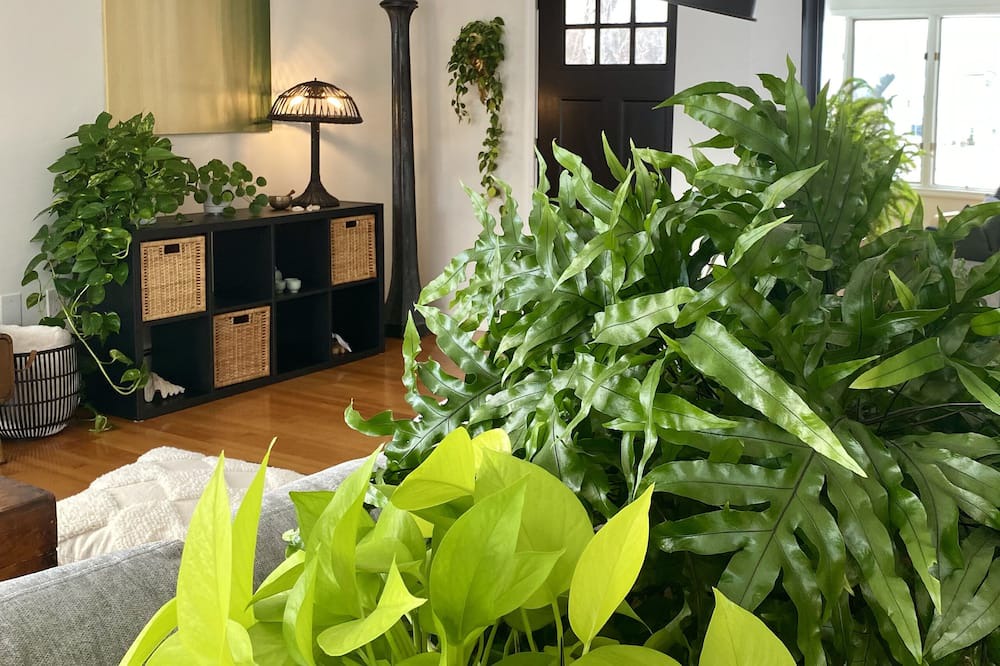 Photo of Others in Freehold