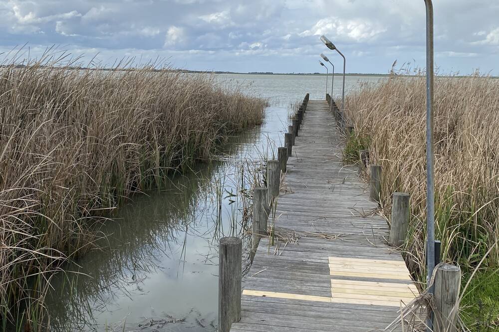 Photo of Others in Nangkita