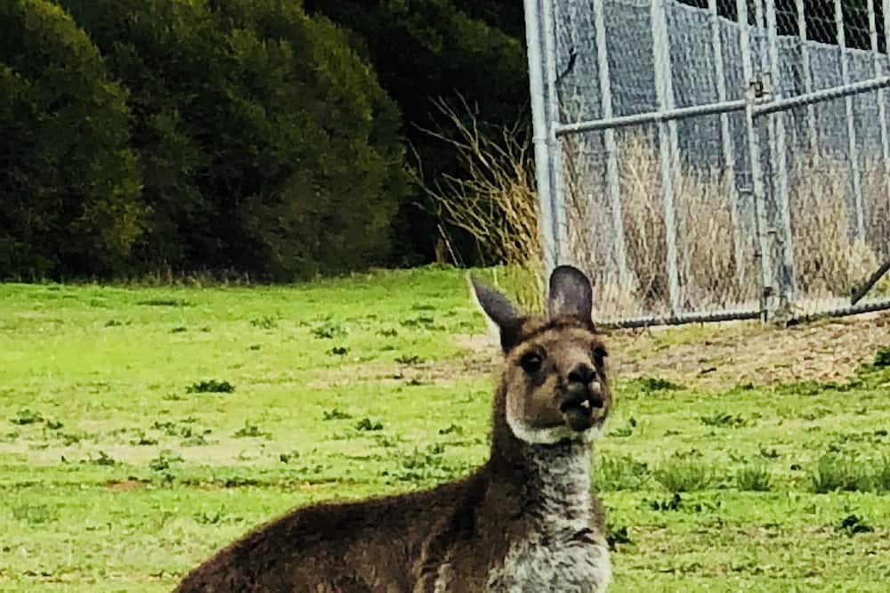 Photo of Outdoor in Nangkita