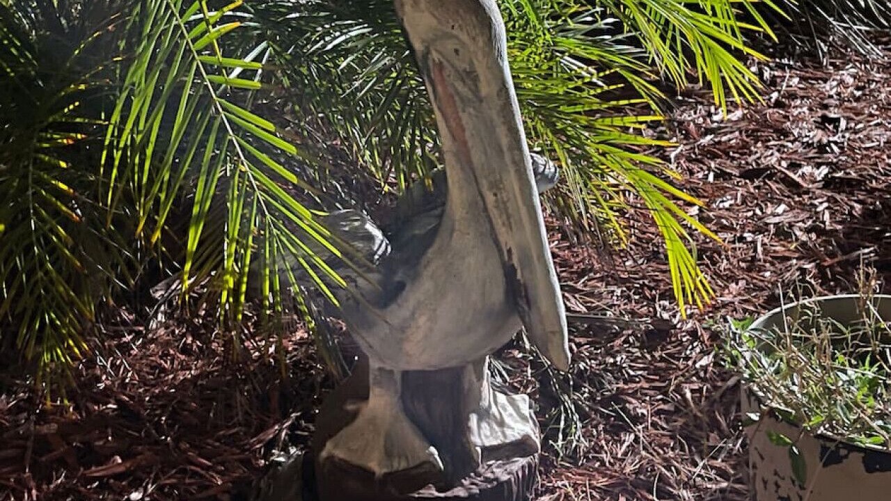 Photo of Outdoor in Charlotte Harbor
