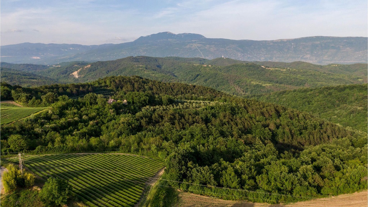 Photo of Outdoor in Krbune
