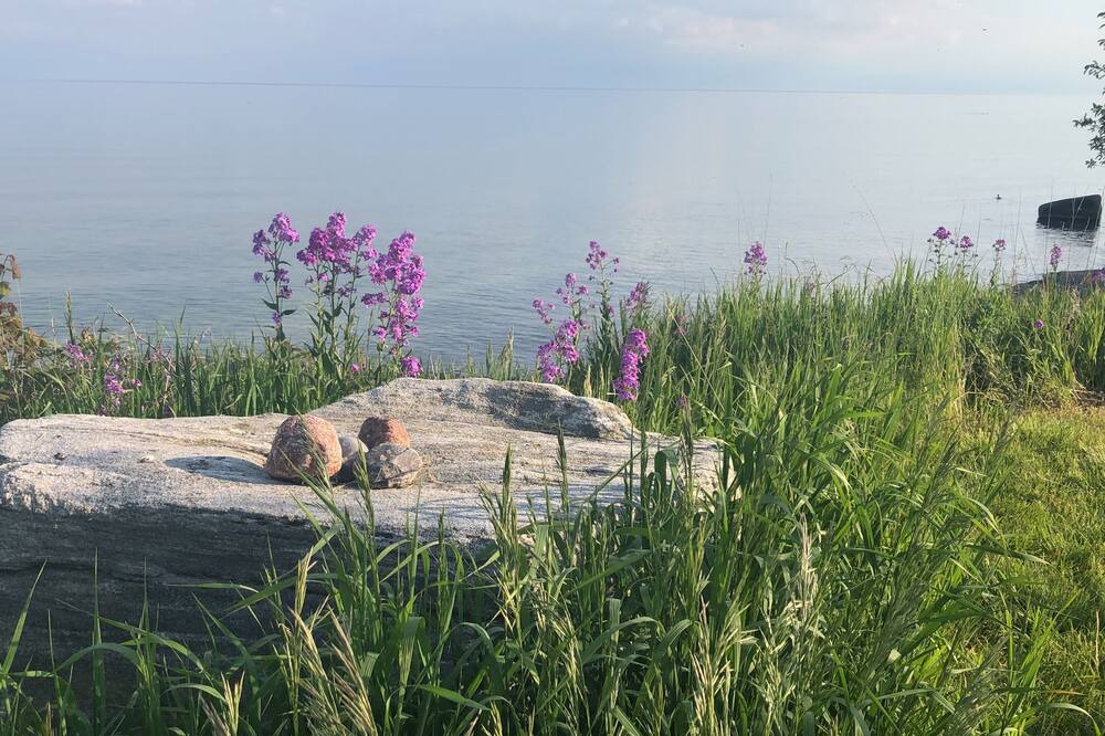 Photo of Others in Amherstview