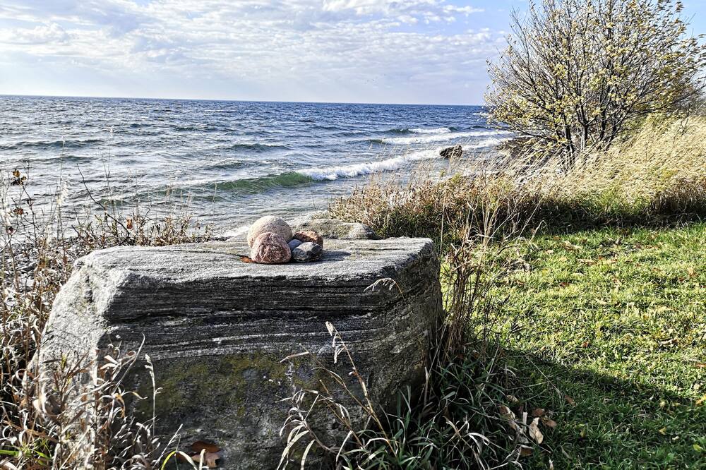 Photo of Others in Amherstview