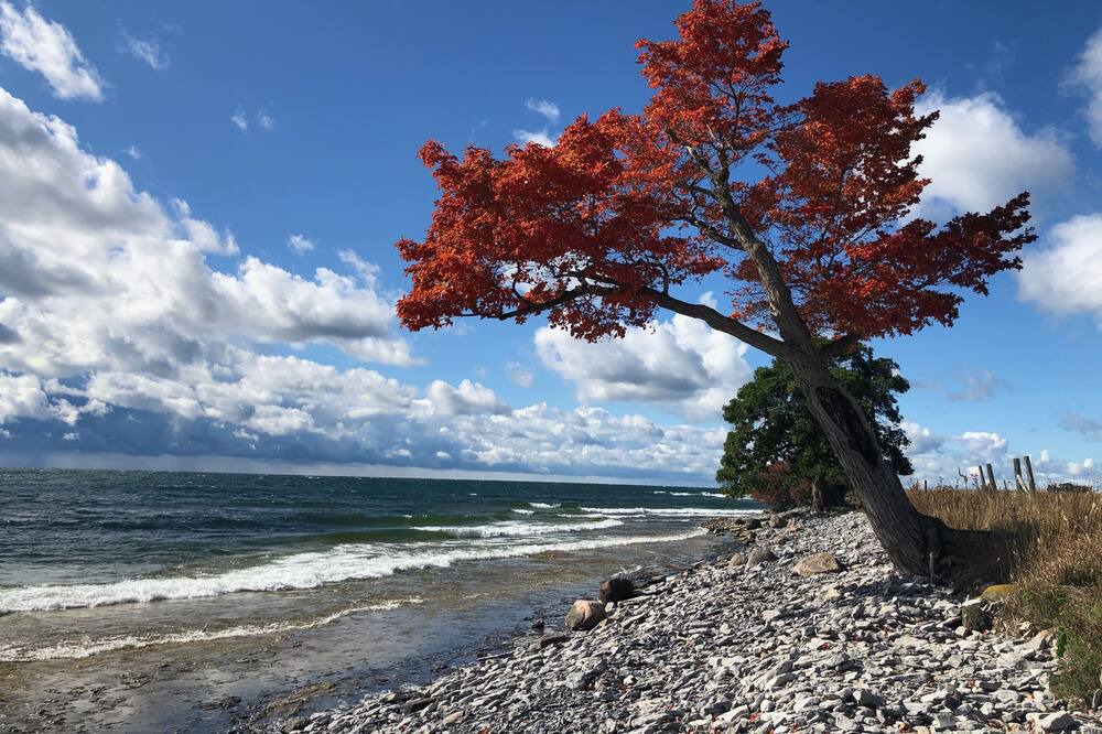 Photo of Others in Amherstview