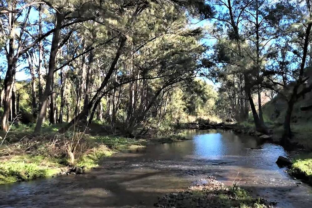 Photo of Outdoor in Riverlea