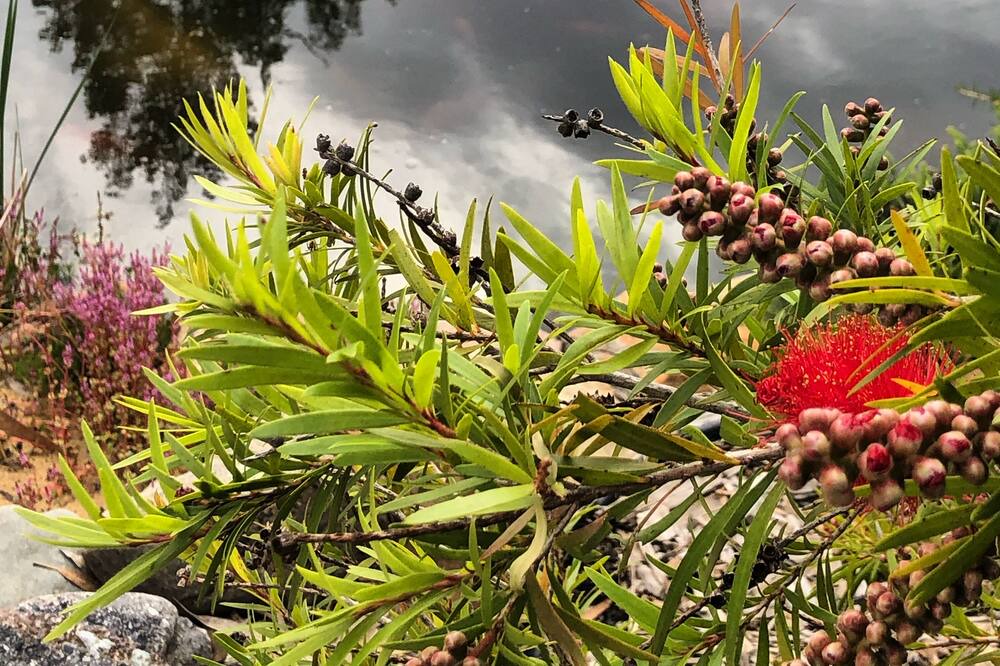 Photo of Outdoor in Riverlea