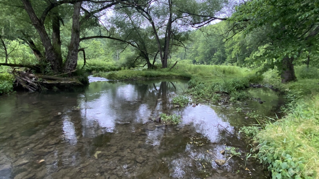 Photo of Outdoor in Viroqua