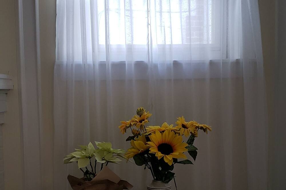 Photo of Others in Allentown