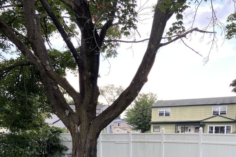 Photo of Outdoor in Amityville