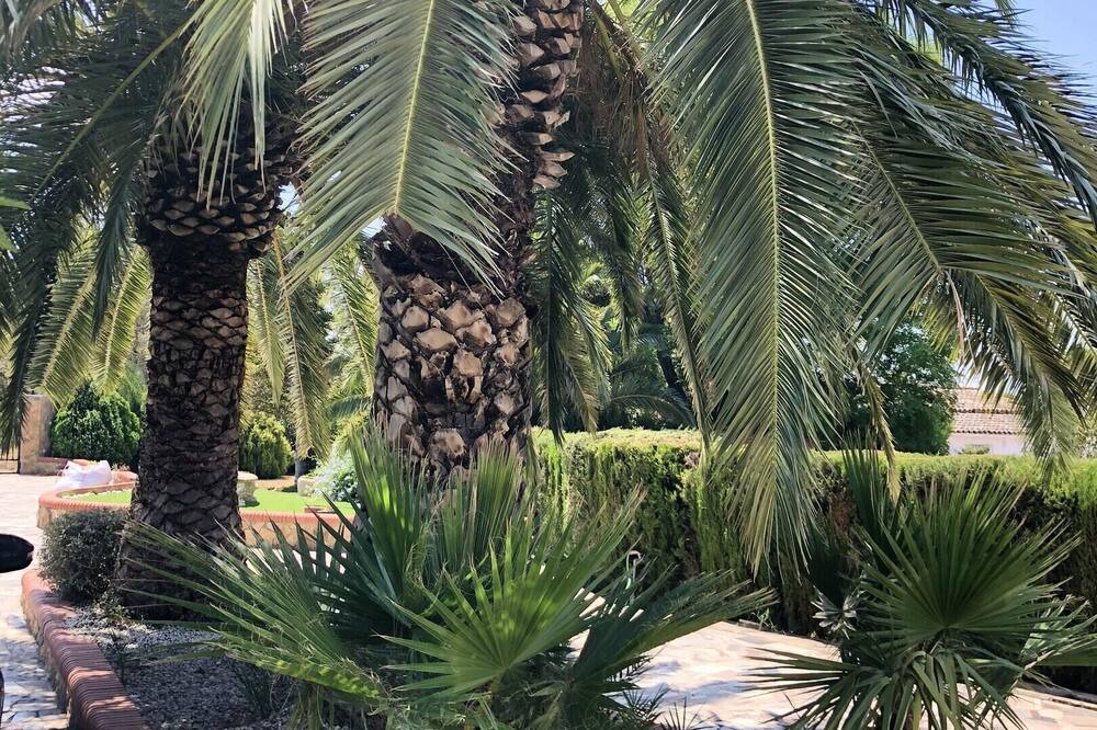 Photo of Outdoor in Olocau