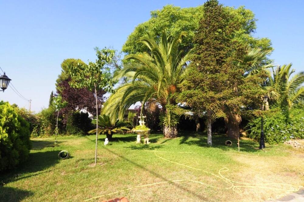 Photo of Outdoor in Olocau