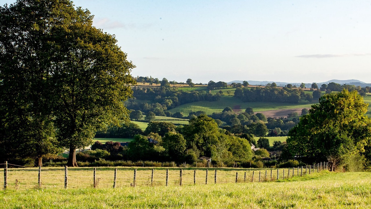 Photo of Others in Pencombe