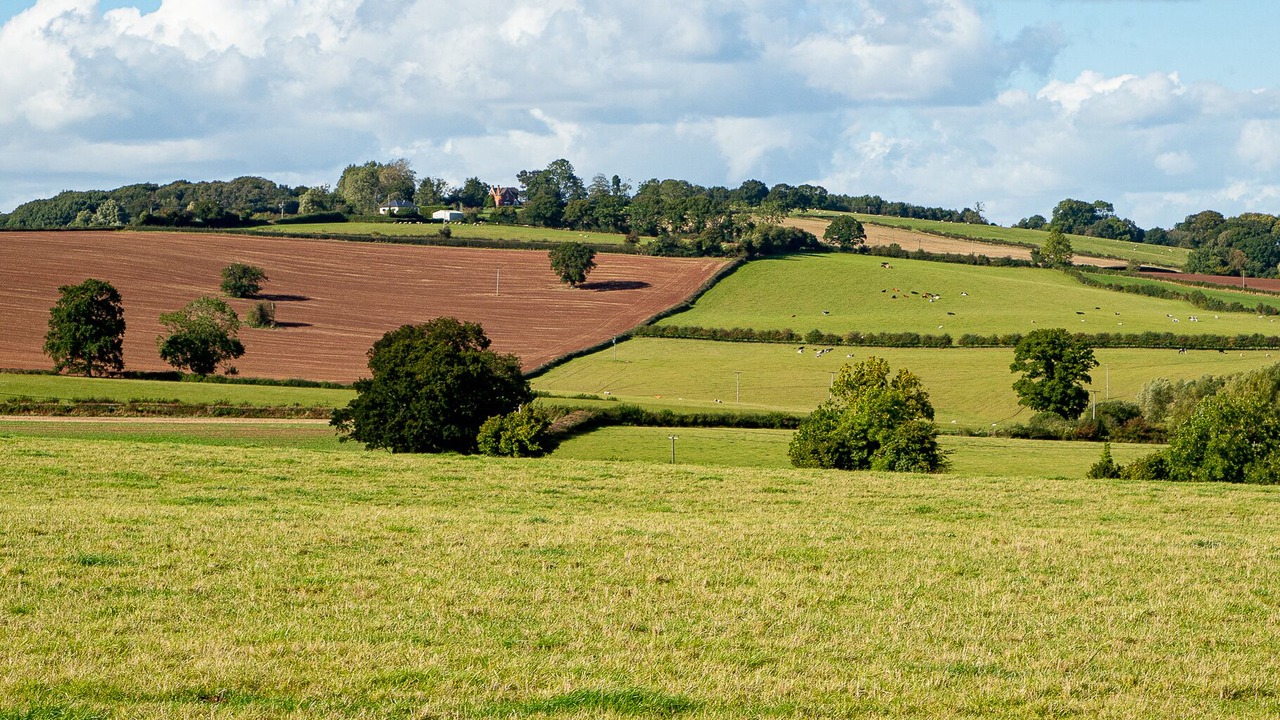 Photo of Others in Pencombe