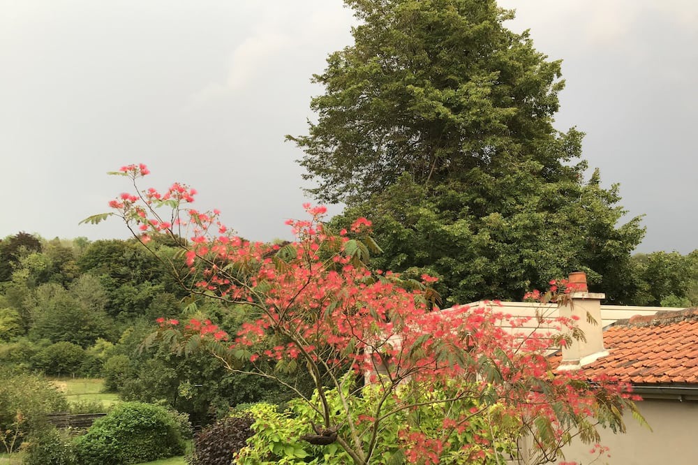 Photo of Outdoor in Courset