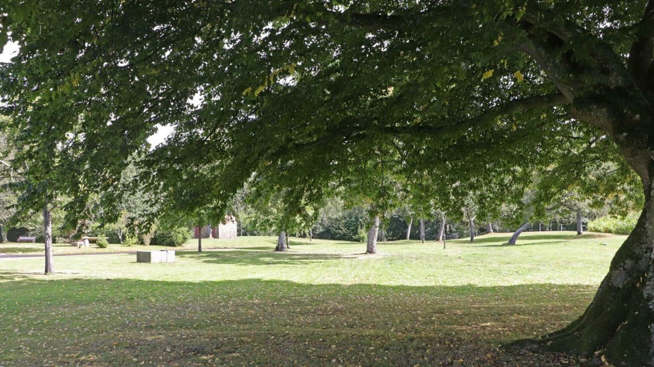 Photo of Others in La Carneille