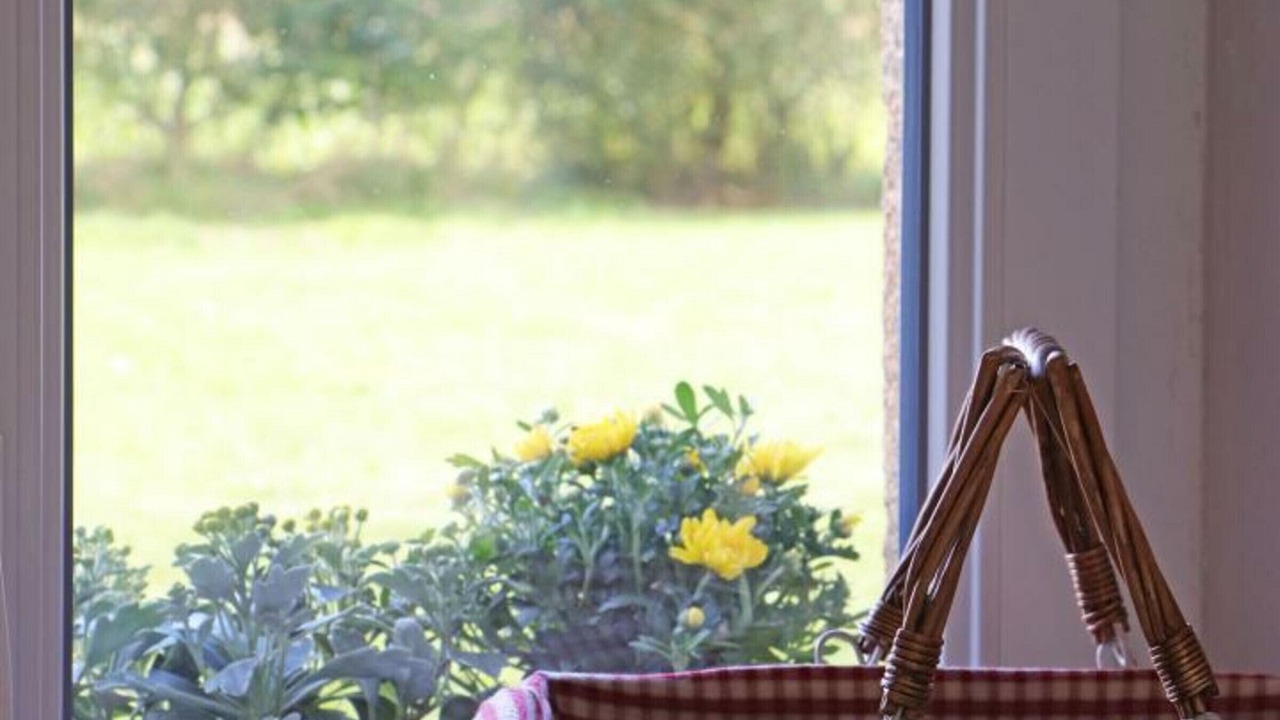 Photo of Others in La Carneille