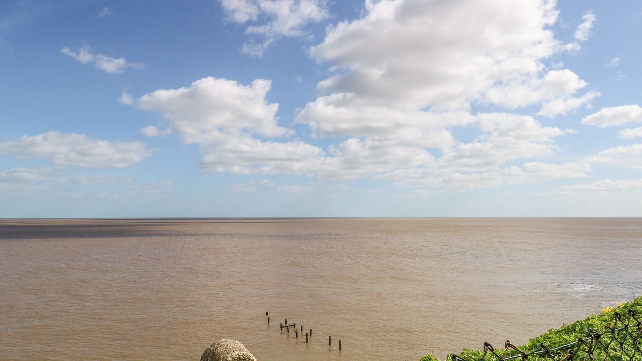 Photo of Others in Corton