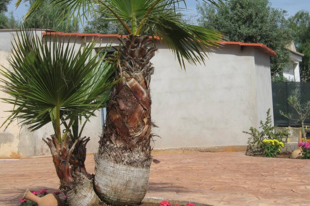 Photo of Outdoor in Lliria