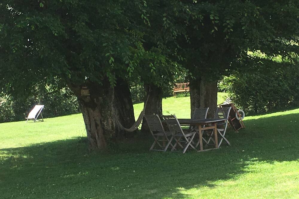 Photo of Outdoor in Collonges