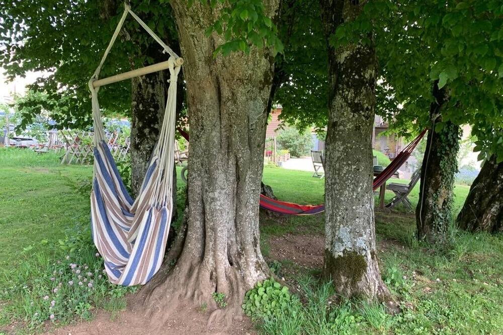 Photo of Outdoor in Collonges