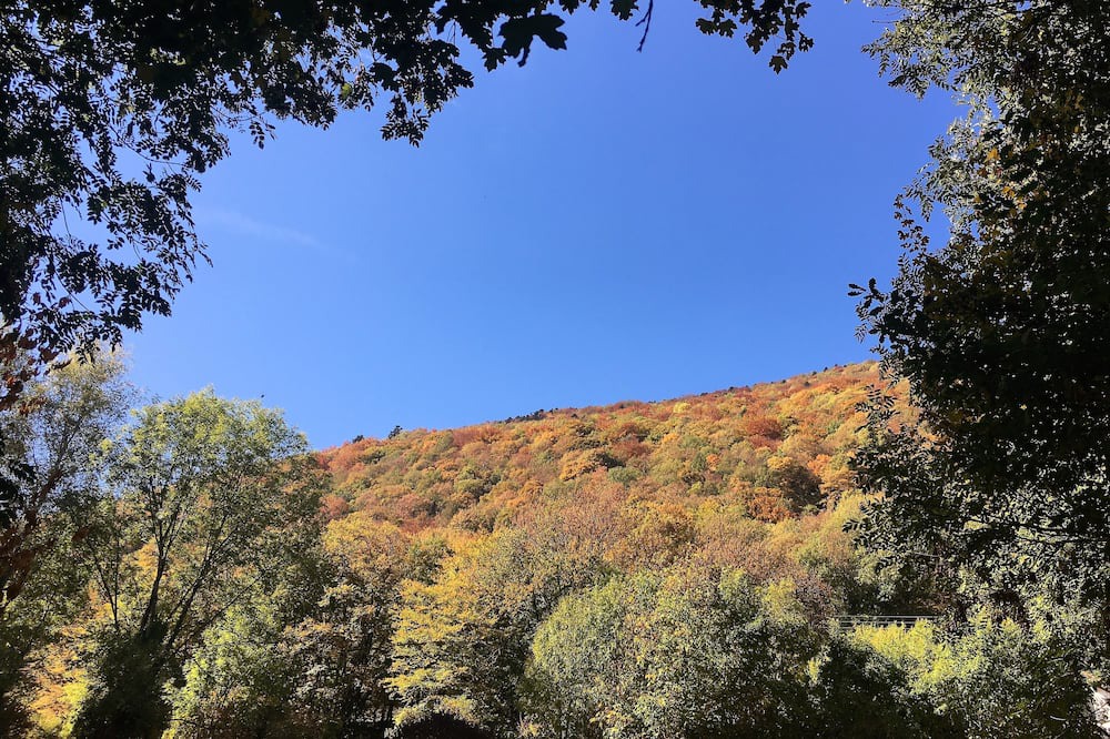 Photo of Outdoor in Collonges