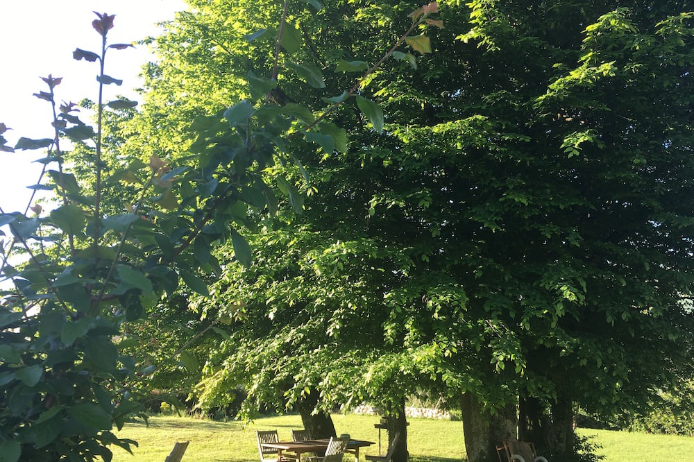 Photo of Outdoor in Collonges