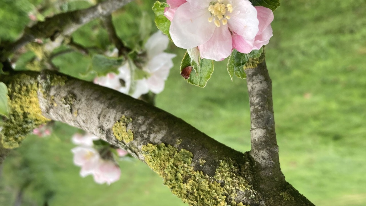 Photo of Outdoor in Bagnoles-de-l'Orne