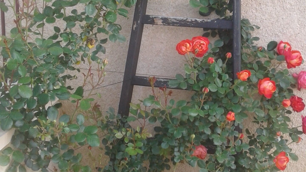 Photo of Outdoor in Semur-en-Brionnais