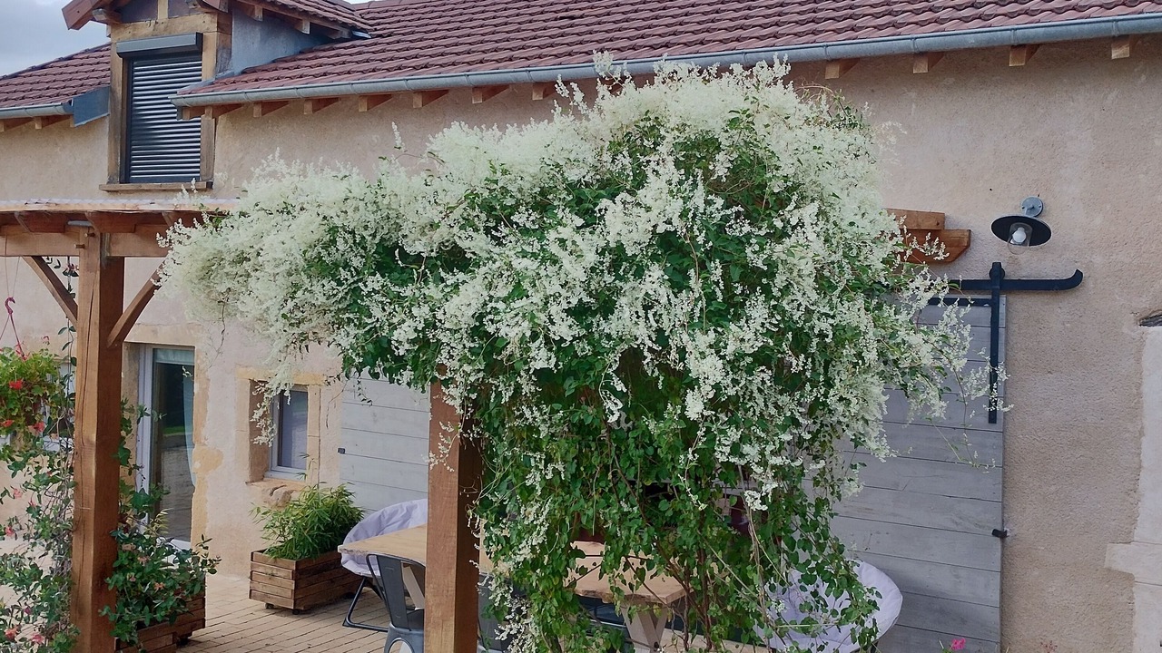 Photo of Outdoor in Semur-en-Brionnais