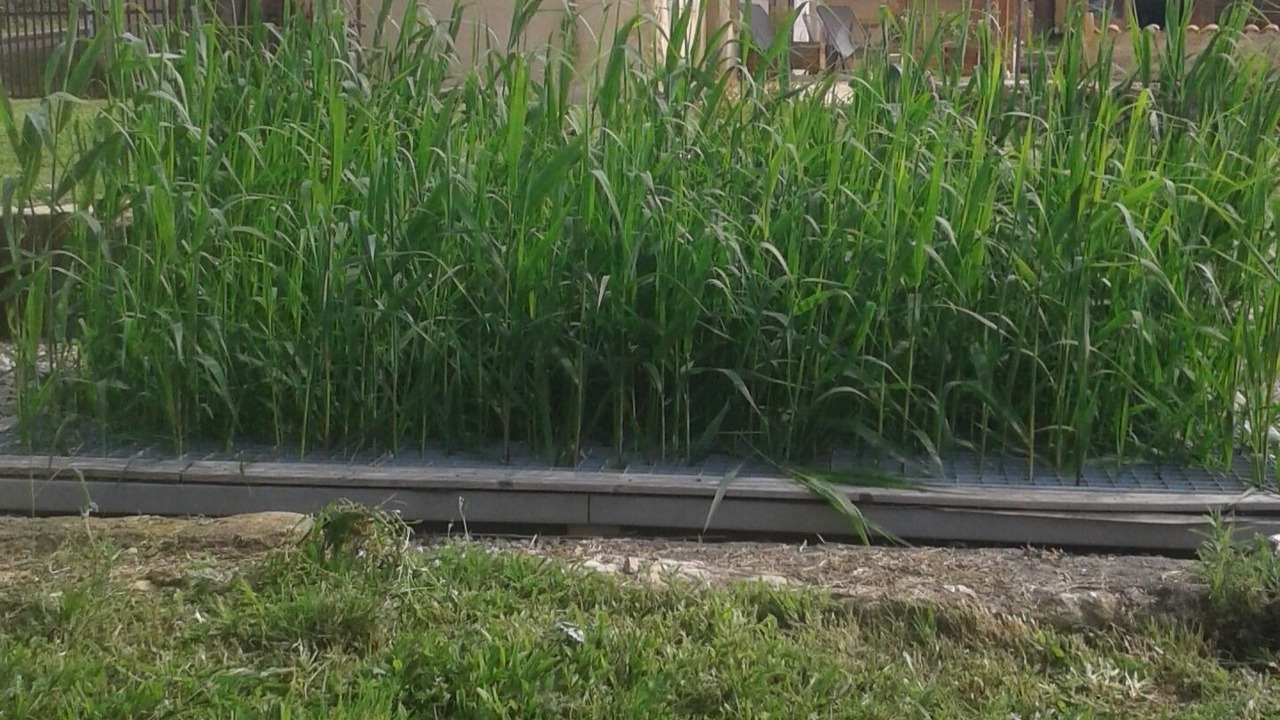 Photo of Outdoor in Semur-en-Brionnais