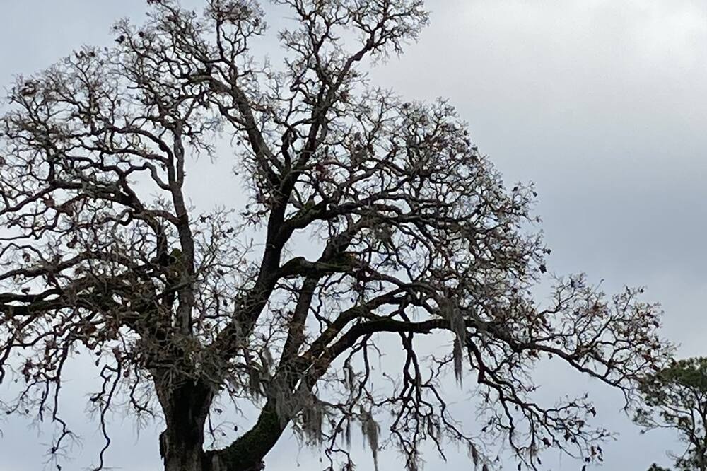 Photo of Outdoor in Onalaska