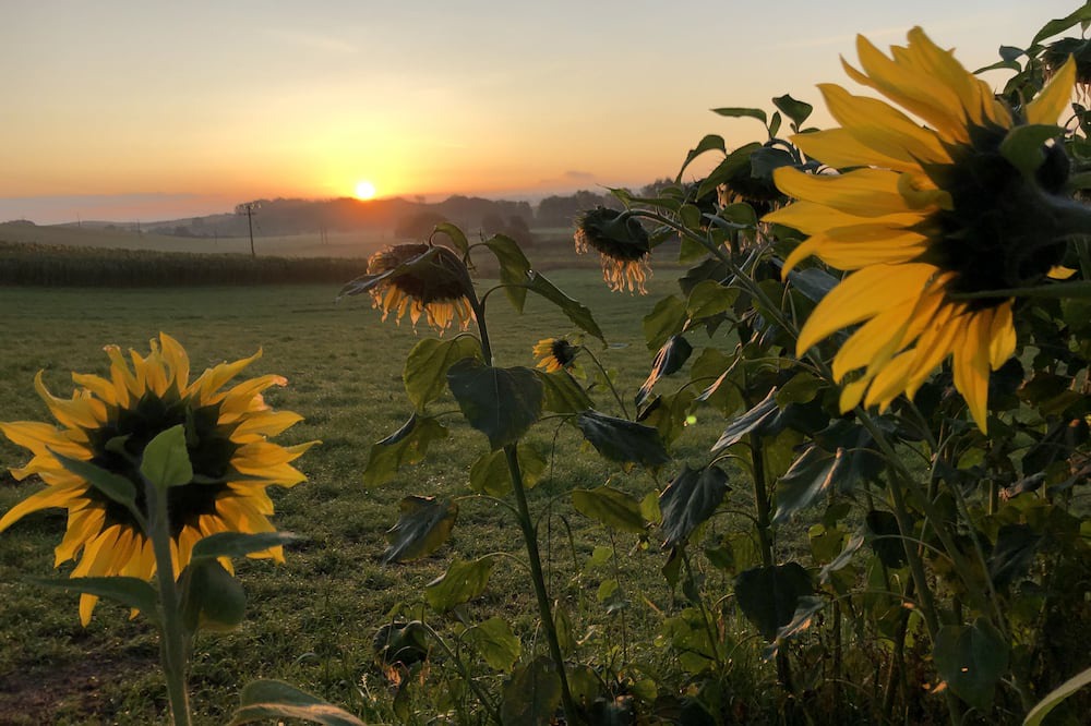 Photo of Outdoor in Kelso