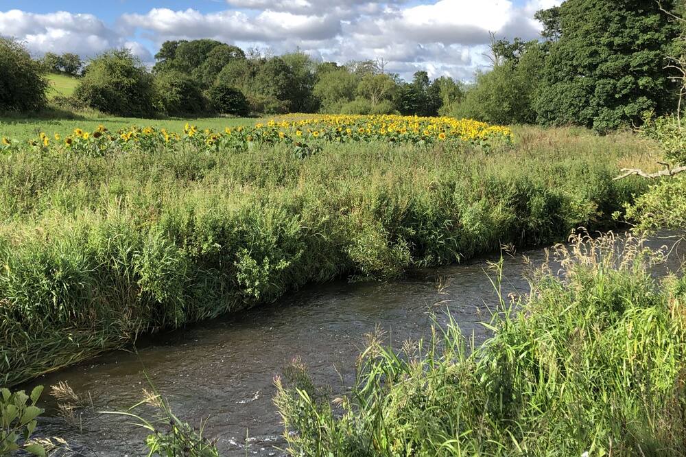 Photo of Outdoor in Kelso