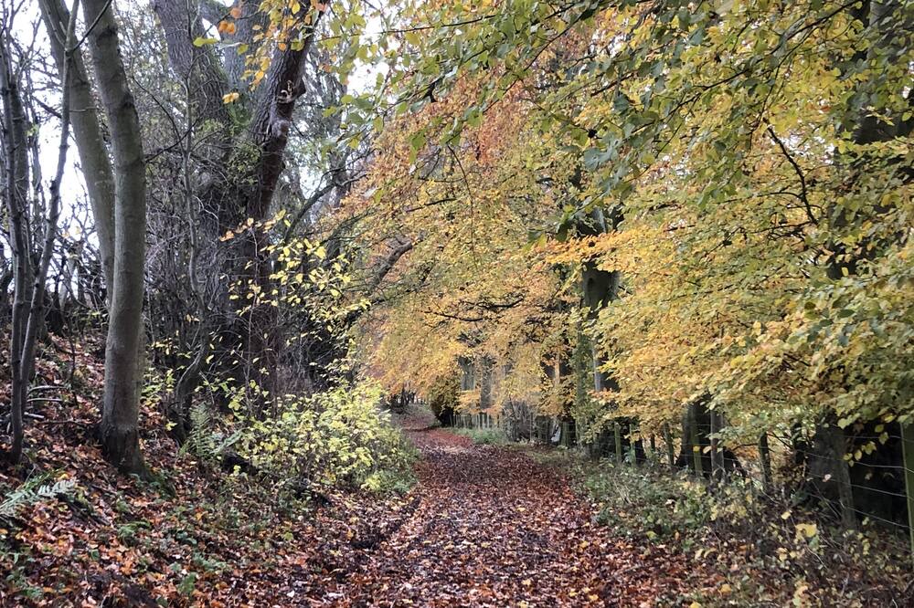 Photo of Outdoor in Kelso