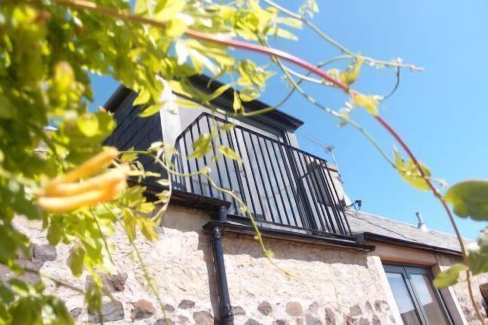 Photo of Outdoor in Kelso