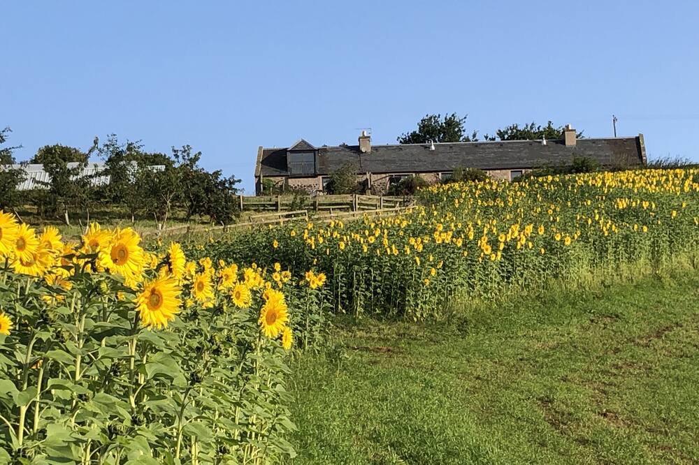 Photo of Outdoor in Kelso