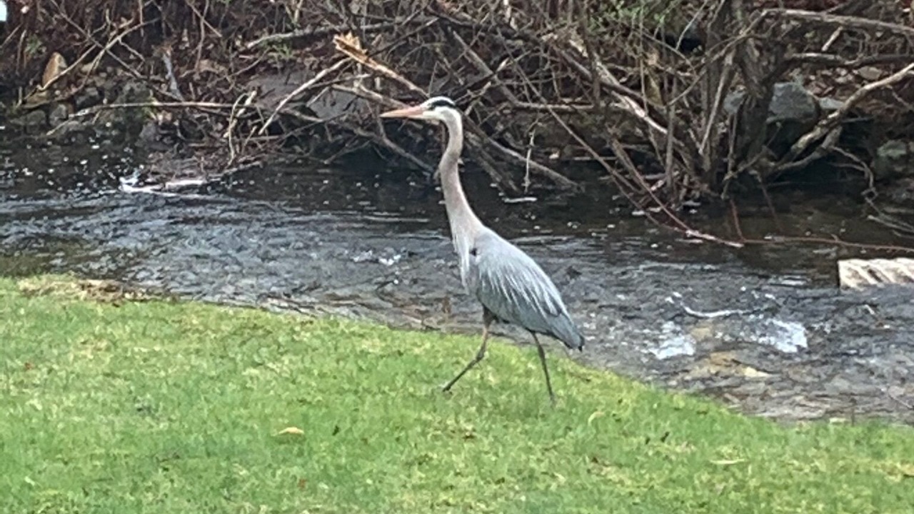 Photo of Outdoor in Huletts Landing