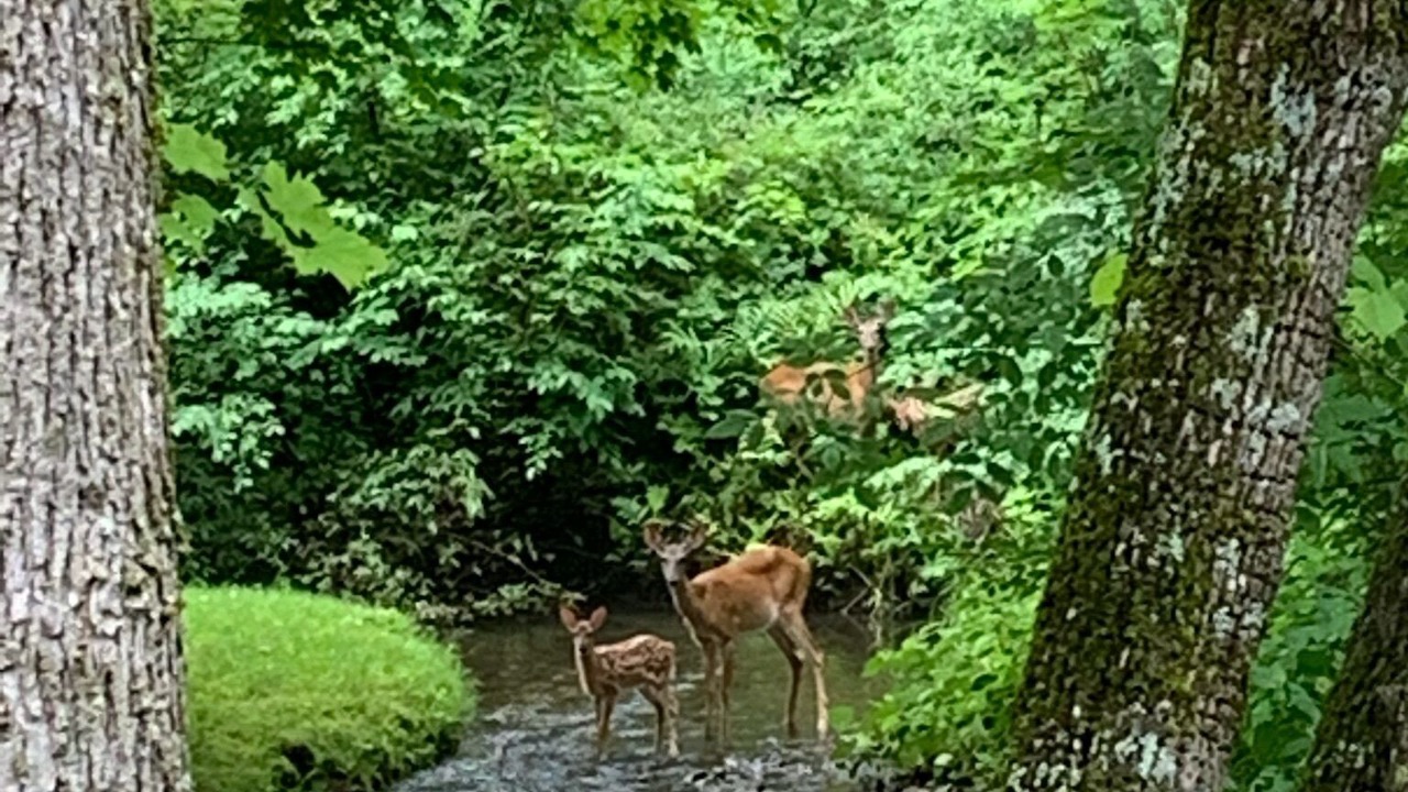 Photo of Outdoor in Huletts Landing
