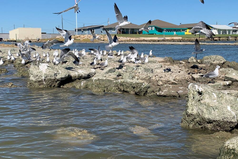 Photo of Others in Port Alto