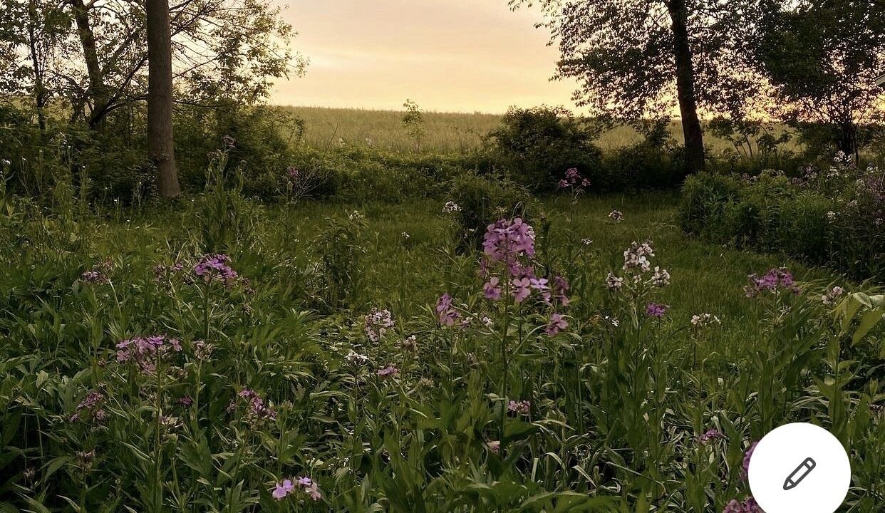 Photo of Outdoor in Mandana