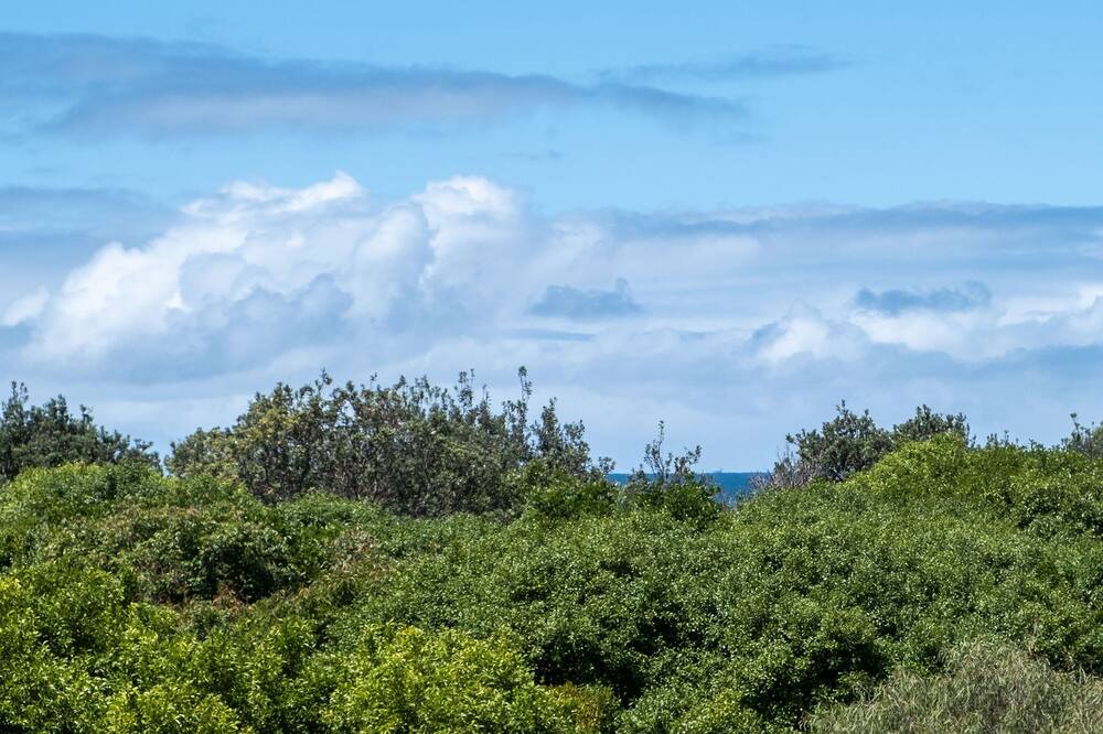 Photo of Patio Balcony in Twin Waters