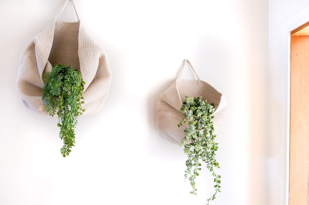 Photo of Others in Twin Waters