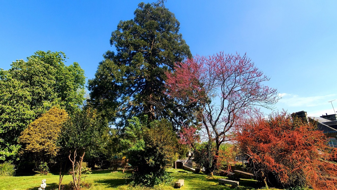 Photo of Outdoor in Antrain