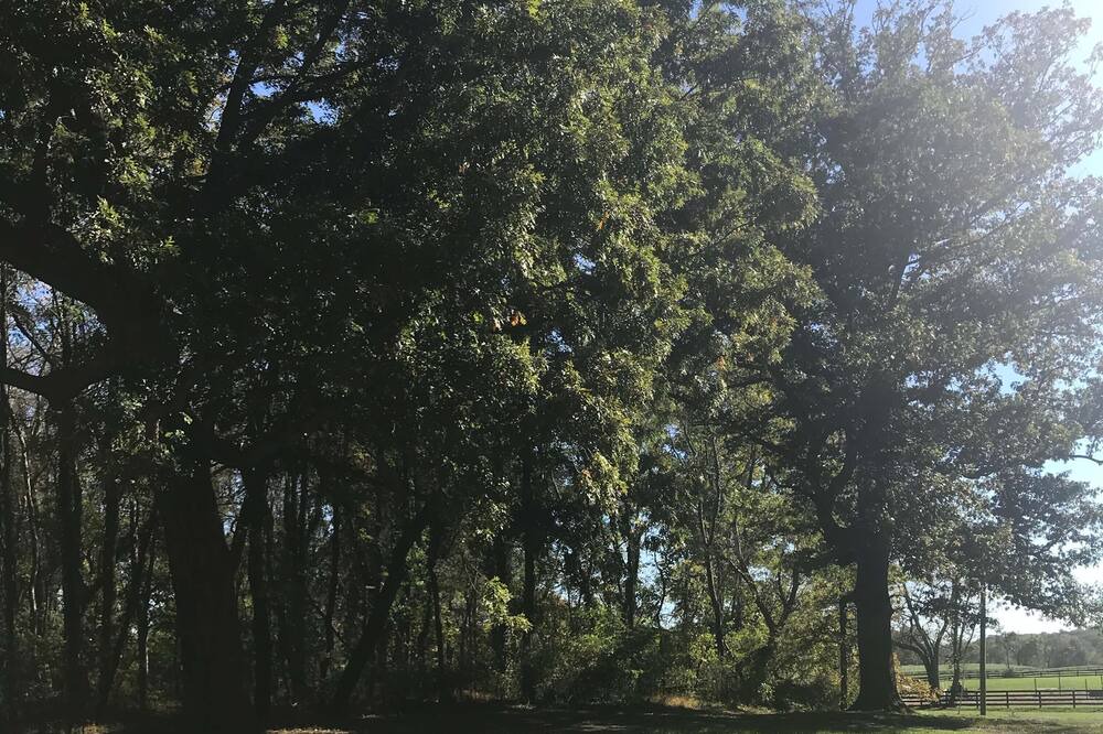 Photo of Outdoor in The Plains